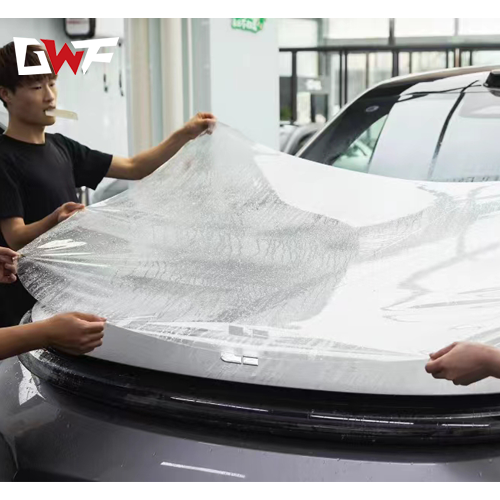 Clear Bra para Tesla modelamente