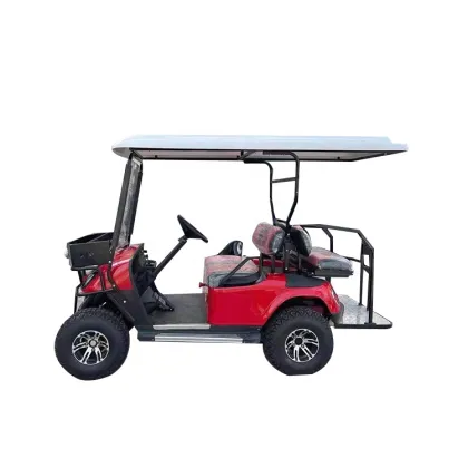 Cheerwin Tanon Battery 100Ah Maintenance-Free 4KW Motor Golf Car