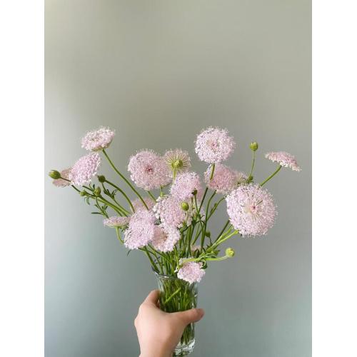 গোলাপী নীল জরি ফুল বিবাহের জন্য তাজা ফুল