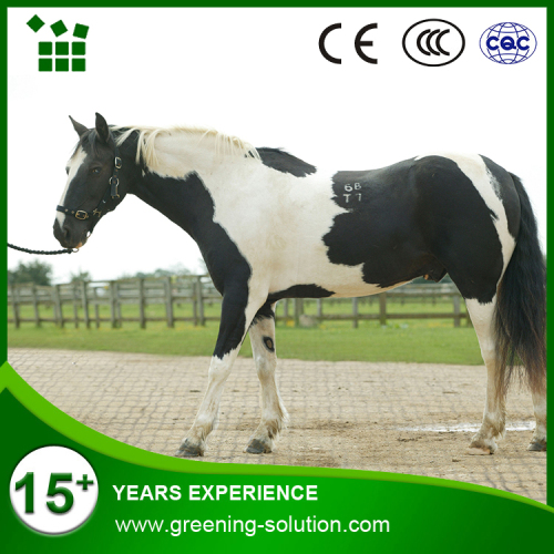 Outstanding Drainage Horse Stall Grid Ly11, High Quality Outstanding