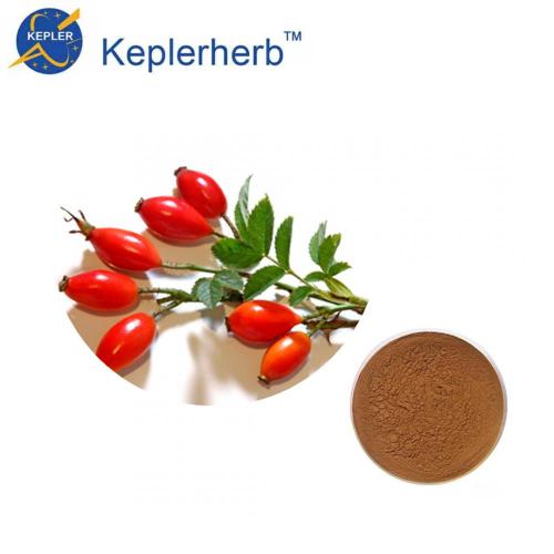 Rose Hip Extract powder