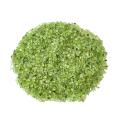 Chip Peridot Beads for Home Decoration & Decor Making Jewelry 100Gram Crushed Irregular Tumbled Stone Pieces Beads No hole