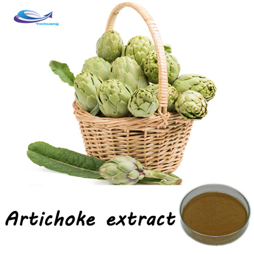 artichoke-extract-powder-jpg