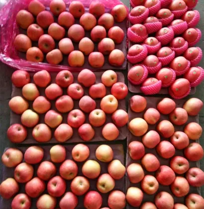 Fresh Paper Bag Fuji Apple