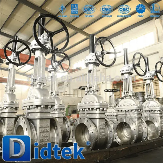 Didtek Extended Stem Motorized Gate Valve