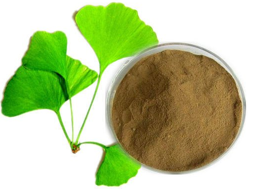 Ginkgo biloba extract 6%Flavonoids