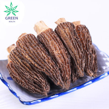 Premium Quality Wild Dried Morels