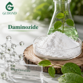Promotor del crecimiento vegetal de dietil aminoetil hexanoato DA-6