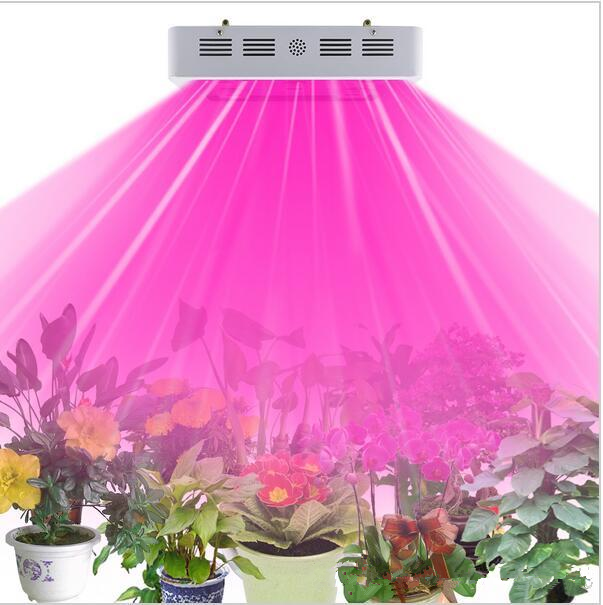 900W COB led grow light aliexpress