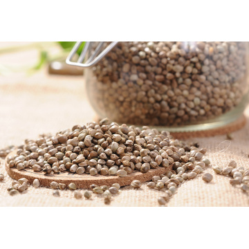 Bulk Conventional Vegan Protein Hemp Seed