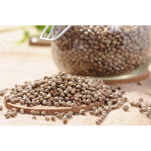 Bulk Conventional Vegan Protein Hemp Seed