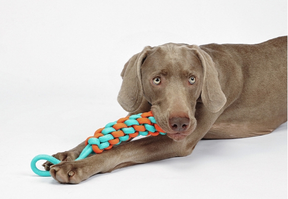 Dog Rope Toys