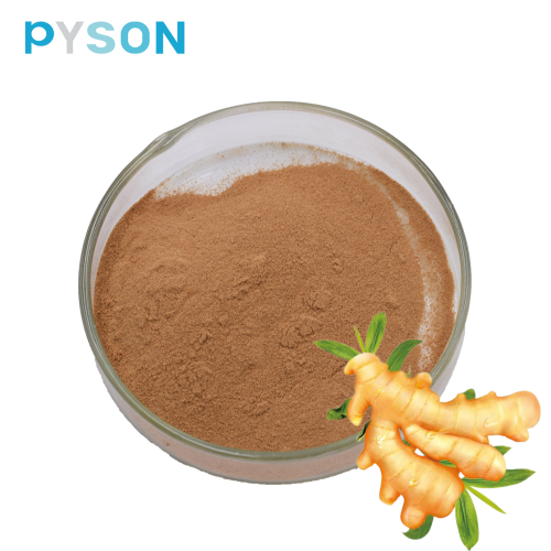 Anti-bacterial Ginger Root Extract 5% Ginger Powder