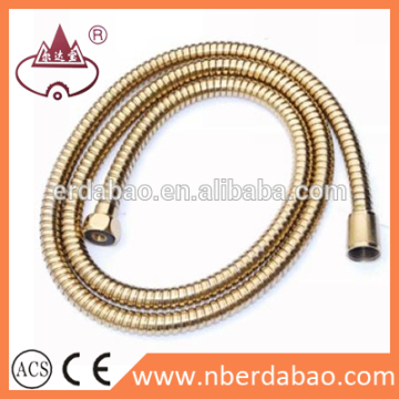 SS double clip plated brass Shower Hose