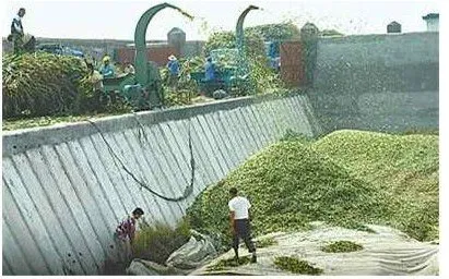 JX-agricultural chaff cutter