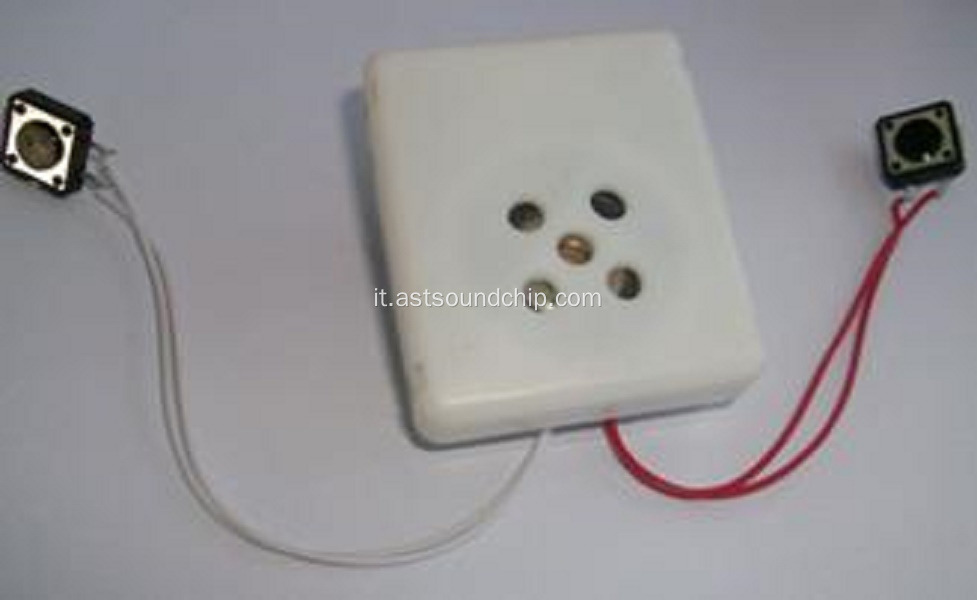 Sound Box per peluche, modulo audio, modulo vocale