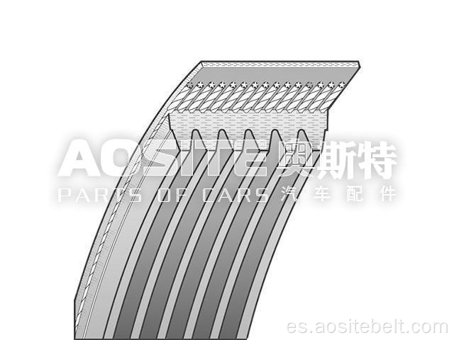 Cinturón V-ribed para Ford Fiesta V