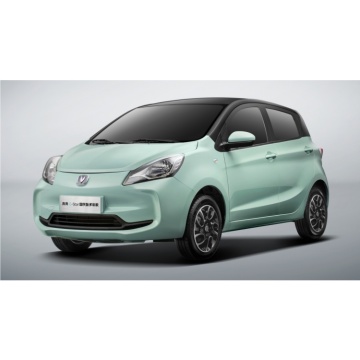 Hot Sale Changan Benben E-Star 2023: Mini Electric SUV for New Energy Vehicles