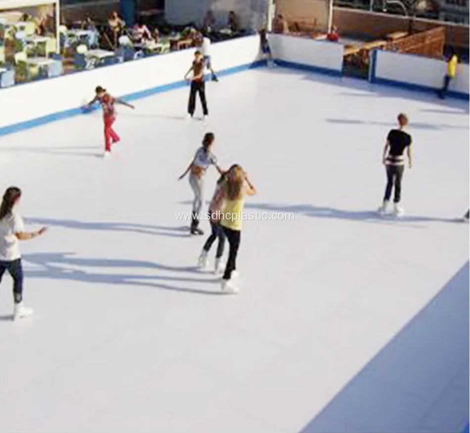 Synthetic Ice Rink Panel