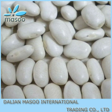 2013 Crop Japanese White Kidney Beans, kidney beans, bean                        
                                                Quality Choice