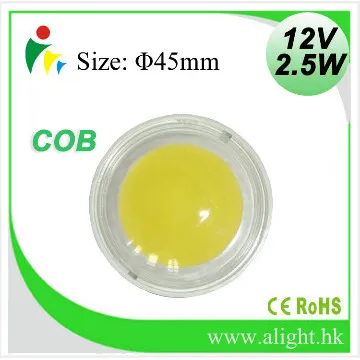 COB LEDs 2.5w 12v Round panel