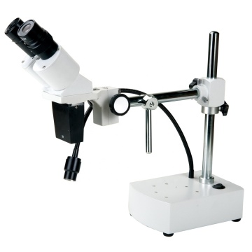 AST-2D Binocular Stereo Microscope for Teaching