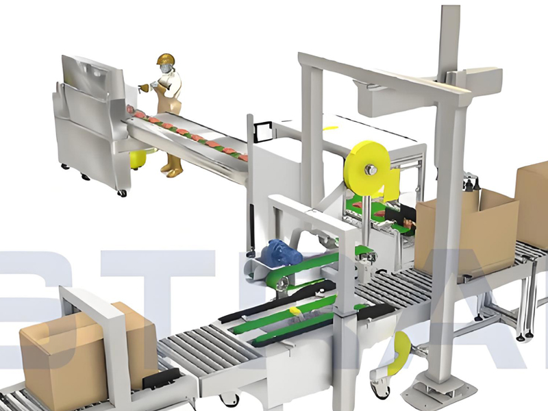 Case Packing and Sealing Line​