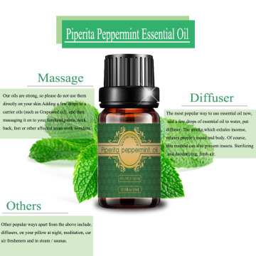 Wholesale Organic Piperita Peppermint Oil for Skin Care