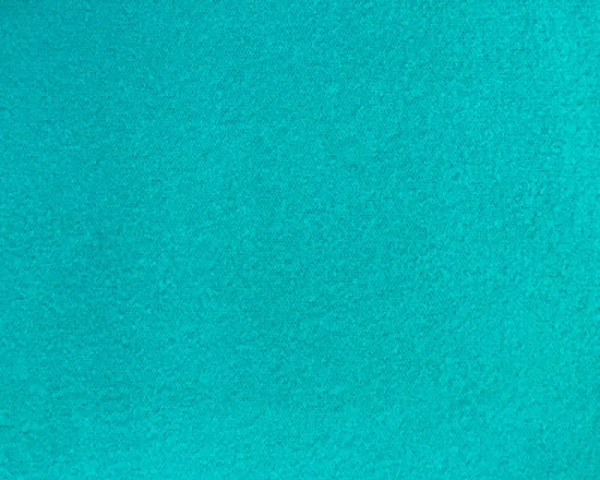 Polyester Brushed Tricot Fabric