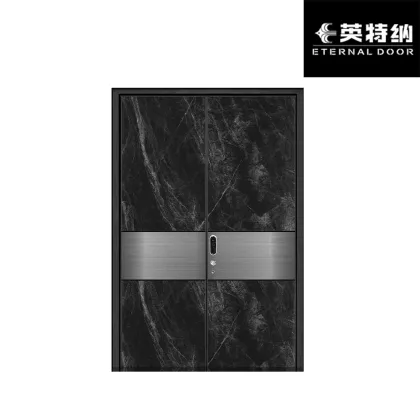 Heavy Duty Tech Panel Door for Contemporary Houses