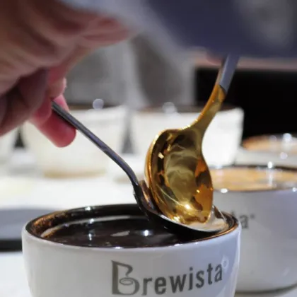 Brewista Coffee Tasting Tools Stainless Steel Cupping Spoons