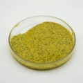 Seguridad de pintura de piso epoxi amarillo