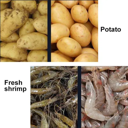 Commercial Fruit and Vegetable Washing Machine for Frozen Food Cleaning