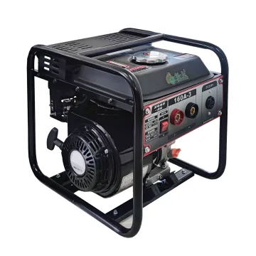 Welding Inverter Generator RZ160A-3 1KW