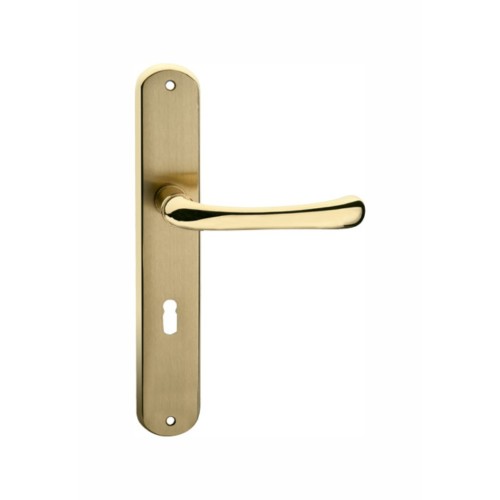 China aluminum handle on aluminum plate The lastest luxury door aluminum handle on plate Manufactory