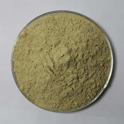 Organic bitter gourd powder