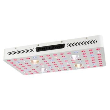 CE ROHS 110V 2000W COB FULL SPECTRUM LICHT