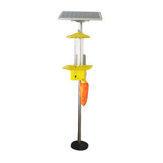 QT-SC02 Frequency vibration solar insecticidal lamp