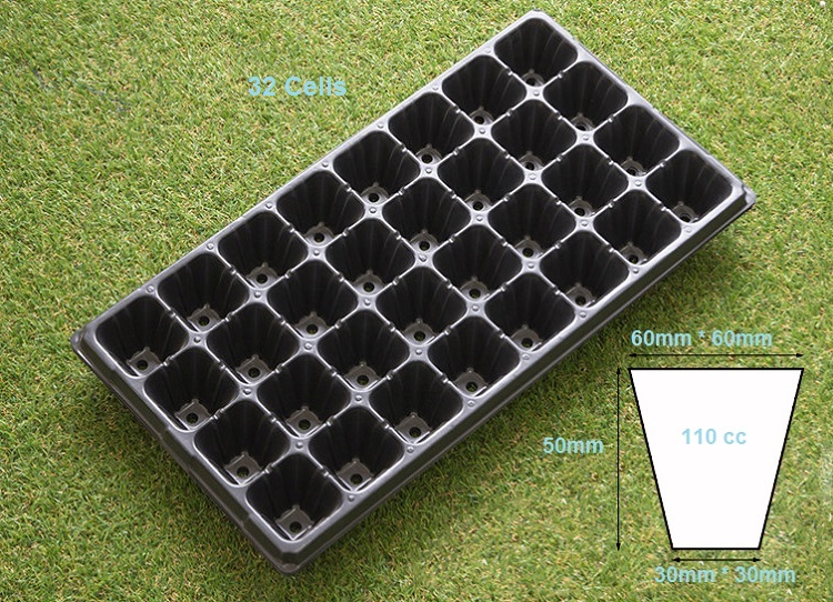 seedling tray 32