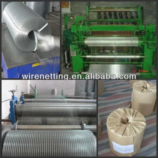 Alibaba high quality 1 inch galvanized welded wire mesh