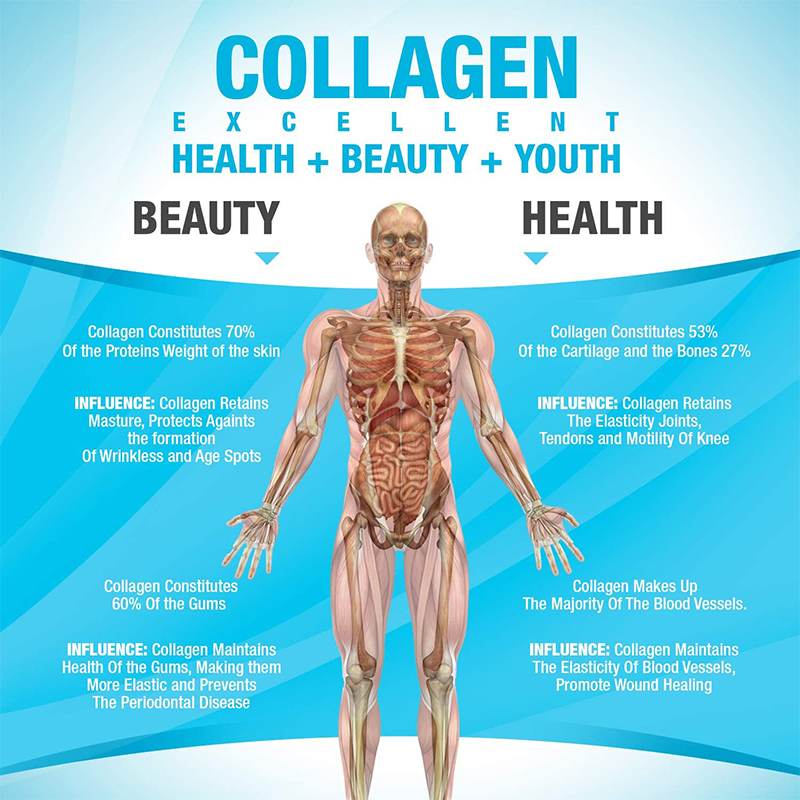 OEM ODM SERVICE SĂNĂTATE VERDE PROGRAM DE COLAGEN COLAGEN ISO PIELE ISO