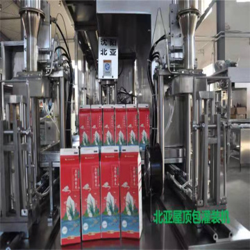 Rice semi automatic carton filling machine