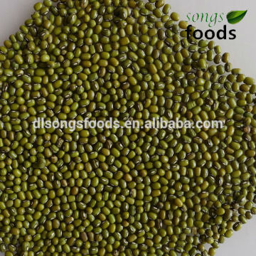 Round Type Green Mung Bean For Market