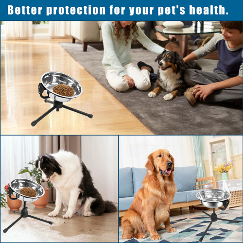Dual Bowls for Large Dog