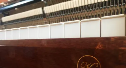 Elegant custom grand piano