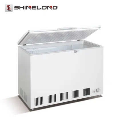 R070 Mobile Small Deep Suiling Freezer