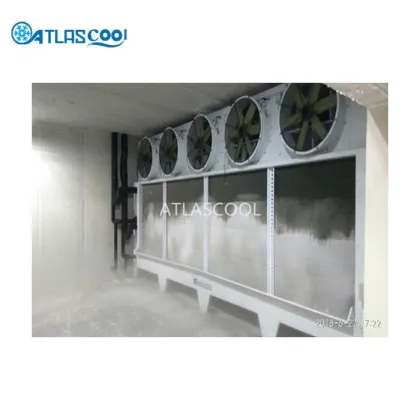 Fish Cold Storage Room