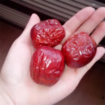 Zhongning Big Red Date