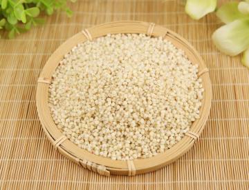 Rice Sorghum