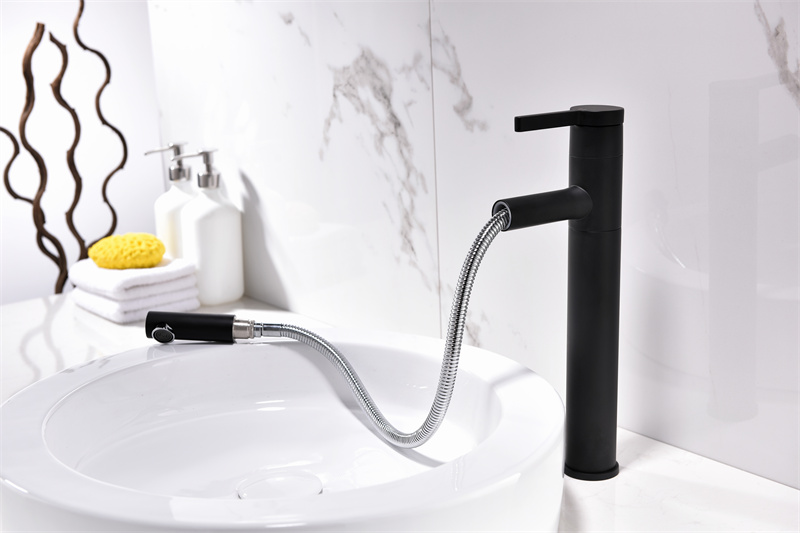 black pull out basin faucet